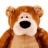 Gund Gordy